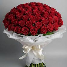 Букет 101 Красная роза Блэк Мэджик в Арье