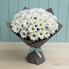 Букет цветов из:  Хризантемы #REPLACE_PRED# Арье