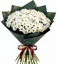 Букет цветов из:  Хризантемы в Арье