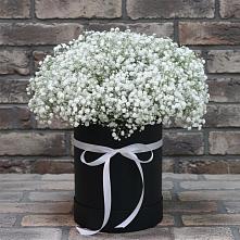 Цветочная композиция из Гипсофила в шляпной коробке #REPLACE_PRED# Арье