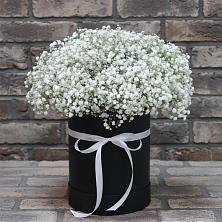 Цветочная композиция из Гипсофила в шляпной коробке в Арье