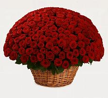 Премиум букет из: Розы в Арье