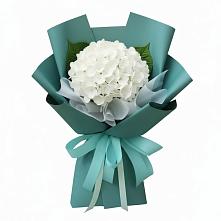 Букет цветов из:  Гортензия в Арье